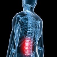 Anatomy of spine=Lumbar Spine