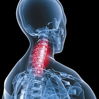 Anatomy of spine=Cervical Spine