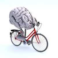 Brain Exercises